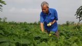 Trực Ninh: Thương binh nặng hiến đất xây dựng nông thôn mới