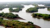 ‘Đắm chìm và đã mắt’ ở Ramsar Xuân Thuỷ
