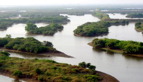 ‘Đắm chìm và đã mắt’ ở Ramsar Xuân Thuỷ
