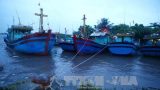 Giao Thủy: Kịp thời Cứu 3 ngư dân trên tàu gặp nạn khi bão về