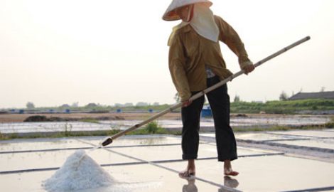 Nam Định: Lẻ loi trên cánh đồng muối