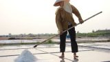 Nam Định: Lẻ loi trên cánh đồng muối
