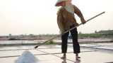 Nam Định: Lẻ loi trên cánh đồng muối