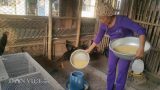 Giao Thủy:  Chăm chim “tiến vua”, kiếm gần nửa tỷ dịp Tết