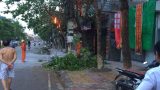 Tp.Nam Định: Chập cháy đường điện tại P. Hạ Long Tp. Nam Định
