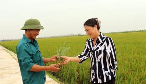 Xuân Trường: Nghị lực phi thường của “tỷ phú một tay”