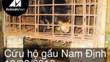 Cứu hộ cá thể gấu chó tại Nam Định