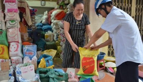 Gạo Tám Hải Hậu và câu chuyện thương hiệu gạo Việt