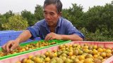 Tự chữa ho cho con, cha mẹ “ngã ngửa” vì rước thêm bệnh khác Tự chữa ho cho con, cha mẹ “ngã ngửa” vì rước thêm bệnh khác