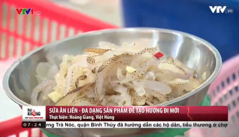 Sứa ăn liền – hướng đi mới của người dân Nam Định