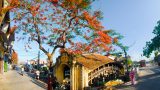 Khám phá cầu cổ đẹp nhất Việt Nam