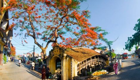 Khám phá cầu cổ đẹp nhất Việt Nam