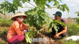 Phụ nữ Xuân Trường vận động hội viên xây dựng gia đình hạnh phúc