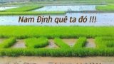 [Thơ] Nam Định ! Chào em !