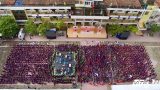 Ngôi trường của Á quân Đường lên đỉnh Olympia 2016 ‘nhuộm’ sắc tím Ngôi trường của Á quân Đường lên đỉnh Olympia 2016 ‘nhuộm’ sắc tím