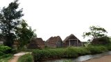 Một ngày ở đồng quê không muối Bạch Long