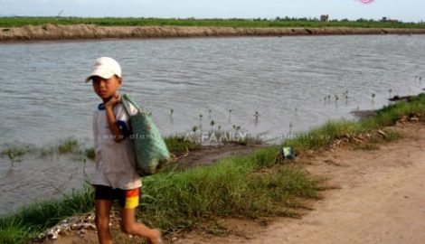 Nghĩa Hưng: Lận đận những đứa trẻ mưu sinh trên biển