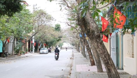 Nam Định của tôi…