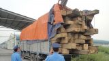 Nam Định: Dùng cân xách tay xử xe quá tải né trạm
