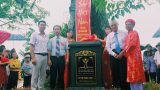 Xuân Trường (Nam Định): Cây Gạo 250 năm tuổi được vinh danh Cây Di sản Việt Nam