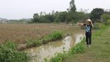 Mùa màng thất bát, nỗi lo ăn đong hiện hữu ở Nam Định Mùa màng thất bát, nỗi lo ăn đong hiện hữu ở Nam Định