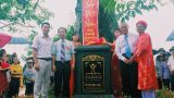 Xuân Trường (Nam Định): Cây Gạo 250 năm tuổi được vinh danh Cây Di sản Việt Nam