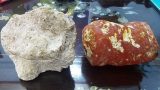 Mua hòn đá vệ đường 50 ngàn, người đàn ông Nam Định được báu vật 5 tỷ