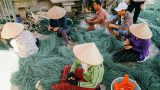 Chùm ảnh: Làng Chài xã Hải Triều huyện Hải Hậu Chùm ảnh: Làng Chài xã Hải Triều huyện Hải Hậu