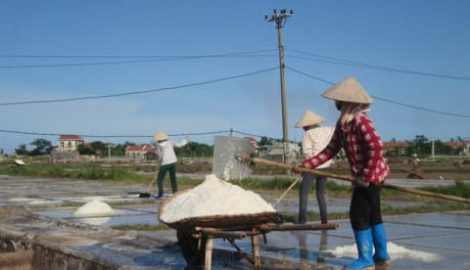 Hải Hậu: Bèo bọt hạt muối không nuôi nổi diêm dân