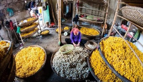 Một ngày về thăm làng tơ Cổ Chất, Nam Định