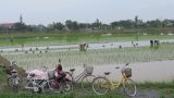 NTM làm thay đổi bộ mặt nông thôn Nam Định