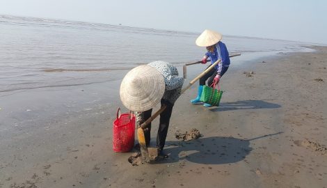 Clip: Ngư dân phơi mình dưới cái nắng hầm hập 40 độ để mưu sinh