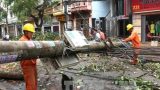 Nam Định chủ động hộ đê ứng phó bão số 2