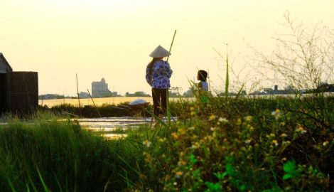 Cảnh Sắc Trên Miền Đất Muối Hải Hậu