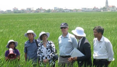 Đại sứ Mỹ đội nắng, lội ruộng cùng nông dân Nam Định