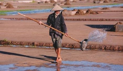 Cuộc sống diêm dân trên cánh đồng muối Hải Hậu Nam Định