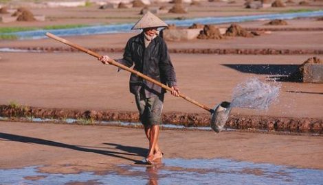 Cuộc sống diêm dân trên cánh đồng muối Hải Hậu Nam Định
