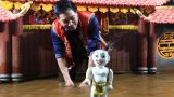 “Sứ giả của nghệ thuật đồng quê Việt” sang Mỹ biểu diễn múa rối