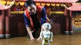 “Sứ giả của nghệ thuật đồng quê Việt” sang Mỹ biểu diễn múa rối “Sứ giả của nghệ thuật đồng quê Việt” sang Mỹ biểu diễn múa rối
