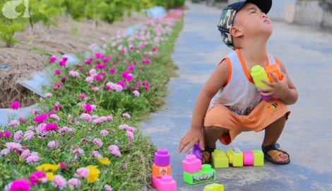 Cách làm Nông thôn mới hay, sáng tạo ở Hải Hậu