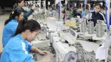 Vinatex Nam Định sẽ sản xuất 50.000 cọc sợi vào năm 2017
