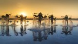 Đẹp ngỡ ngàng cánh đồng muối Bạch Long