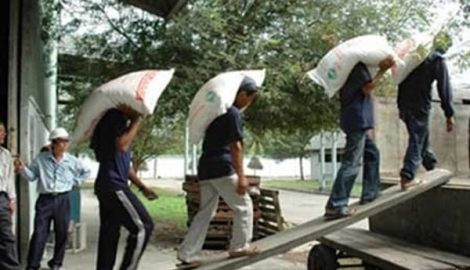 Thủ khoa thành Nam bốc vác kiếm tiền nhập học