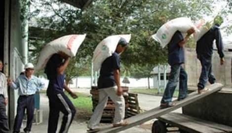 Thủ khoa thành Nam bốc vác kiếm tiền nhập học