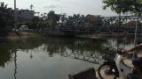 Hải Hậu Nam Định: Trai trẻ 18 tuổi để lại dép và xe đạp, nhảy xuống sông Múc tự tử
