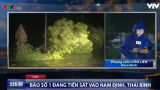 Nam Định: Nhiều nhà dân tốc mái, cây xanh bị đổ do bão số 1
