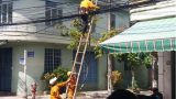Lịch cắt điện ở Nam Định từ 20/7 đến 27/7