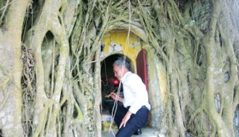 Vụ Bản: Chuyện lạ về ngôi miếu “biết” ngụy trang đánh giặc