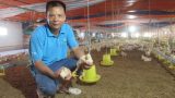 ‘Đút túi’ trên tỷ đồng mỗi năm nhờ vườn – ao – chuồng