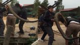 Thông tin mới vụ người dân bắt được rắn khổng lồ